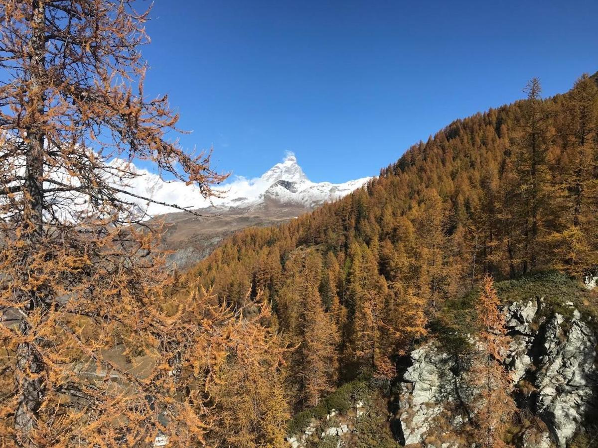 Appartamento Cervinia Fronte Funivie Breuil-Cervinia Zewnętrze zdjęcie